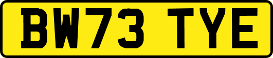 BW73TYE