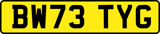 BW73TYG