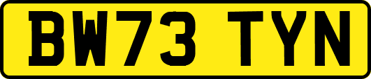 BW73TYN