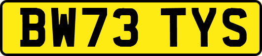 BW73TYS