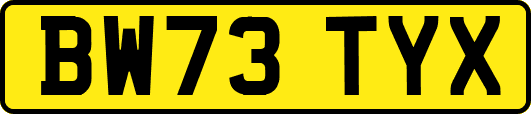 BW73TYX