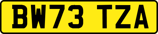 BW73TZA