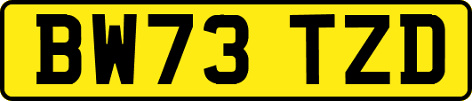 BW73TZD