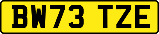 BW73TZE