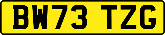 BW73TZG