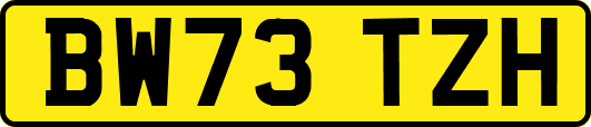 BW73TZH