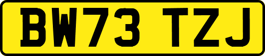 BW73TZJ