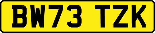 BW73TZK