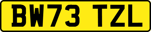 BW73TZL