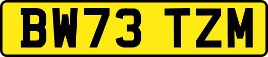BW73TZM