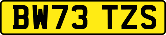 BW73TZS