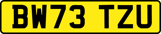BW73TZU