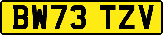 BW73TZV