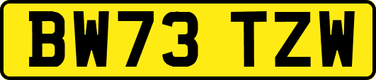 BW73TZW