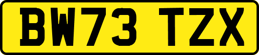 BW73TZX