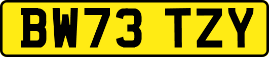 BW73TZY