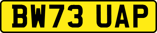 BW73UAP