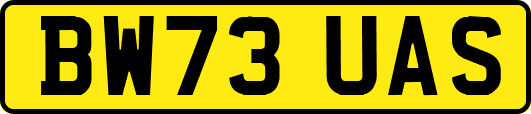 BW73UAS
