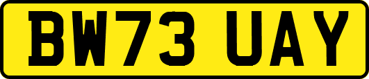 BW73UAY
