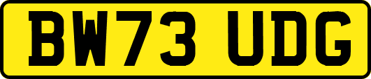 BW73UDG