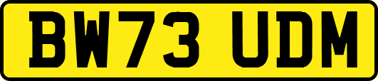 BW73UDM