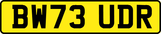 BW73UDR