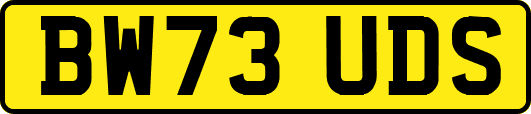 BW73UDS