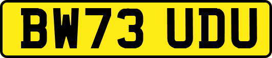 BW73UDU