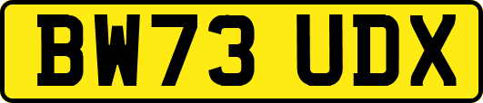 BW73UDX