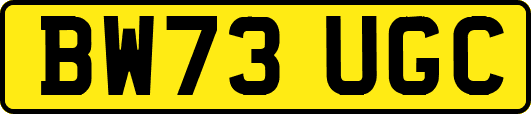BW73UGC