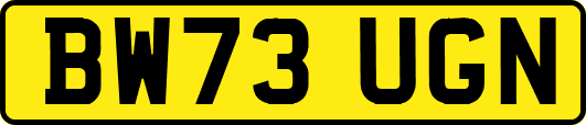 BW73UGN