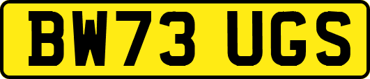 BW73UGS