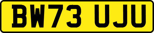 BW73UJU