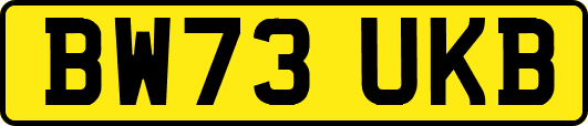 BW73UKB