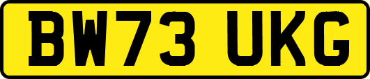 BW73UKG