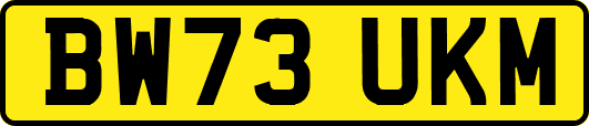 BW73UKM