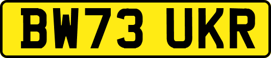 BW73UKR