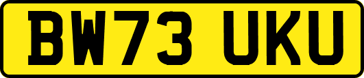 BW73UKU