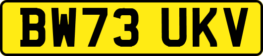 BW73UKV