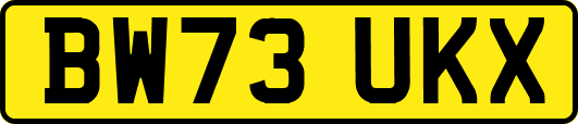 BW73UKX