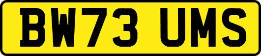 BW73UMS