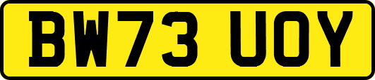 BW73UOY