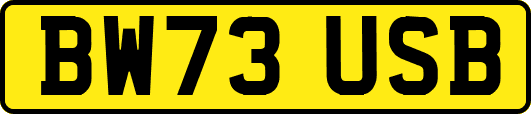 BW73USB