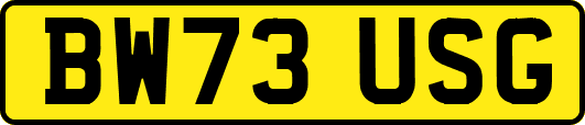 BW73USG