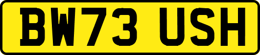 BW73USH