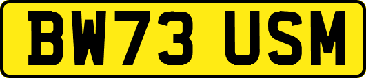 BW73USM
