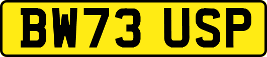 BW73USP