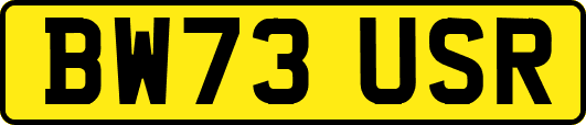 BW73USR