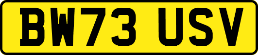 BW73USV