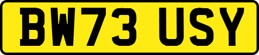 BW73USY
